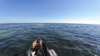 Морская форель на топвотер у Сан-Бласа во Флориде