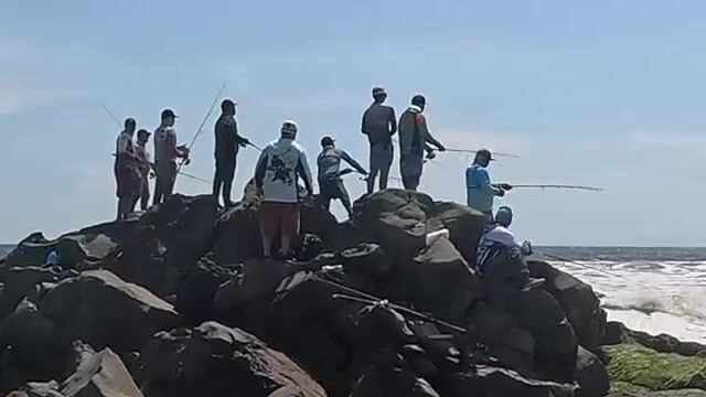 Робалы на каменной гряде в Сан-Бласе