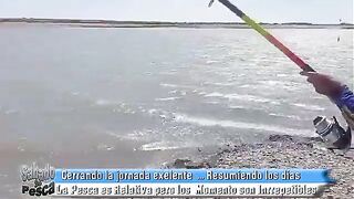 Рыбалка в аргентинском заливе Сан-Блас с дебютантами