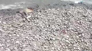 Рыбалка в аргентинском заливе Сан-Блас с дебютантами