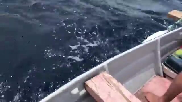 Ручные лески и косяк у лодки на Фиджи