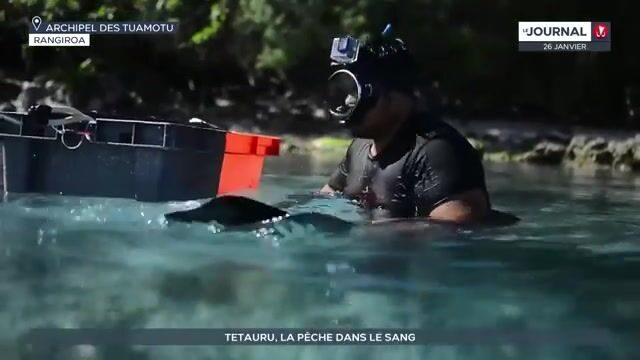 Утренний выход Тетауру в лагуну Рангироа