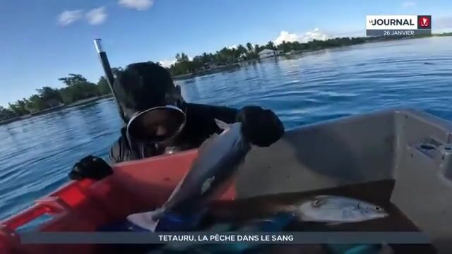Утренний выход Тетауру в лагуну Рангироа