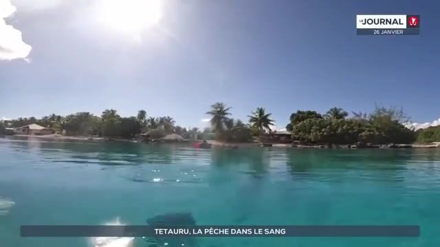 Утренний выход Тетауру в лагуну Рангироа