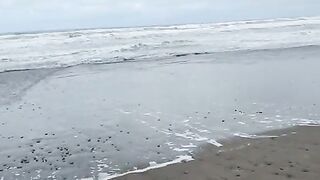 Аргентина, Сан-Блас: смена точки на Пунта-Рубия