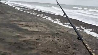 Аргентина, Сан-Блас: смена точки на Пунта-Рубия