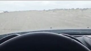 Аргентина, Сан-Блас: смена точки на Пунта-Рубия