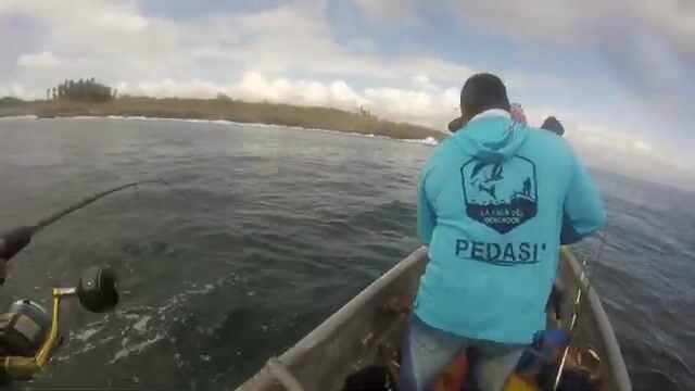 Ловля барракуд на попперы у Исла-Игуана рядом с Педаси