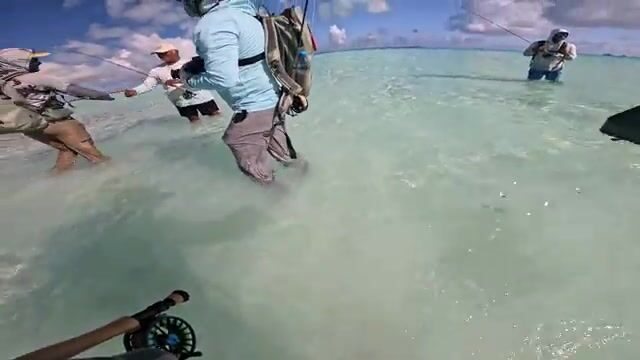 Ловля альбул и спинорогов во Французской Полинезии