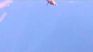 Береговые акулы и морская охота у острова Боа-Вишта