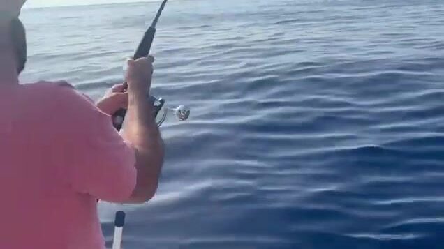 Морская рыбалка на Мальте с чартером Mister Fish