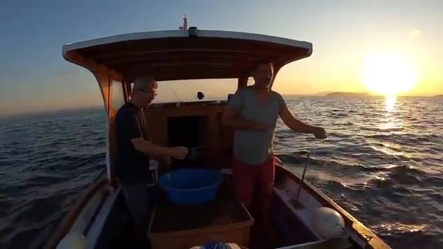 Мраморное море: калкан, морской петух и скаты на донные снасти