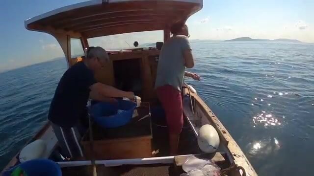 Мраморное море: калкан, морской петух и скаты на донные снасти