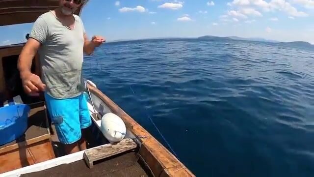 Мраморное море: калкан, морской петух и скаты на донные снасти