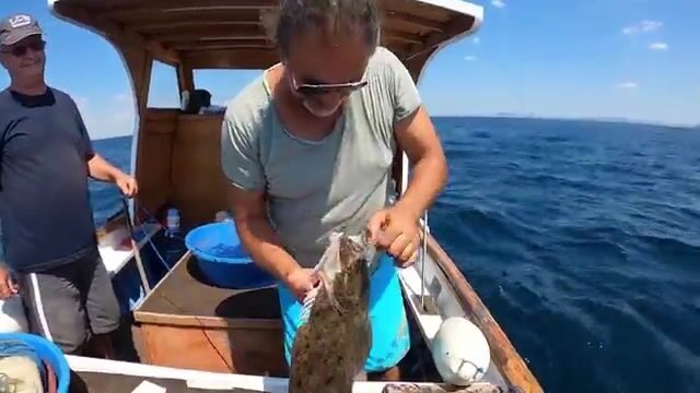 Мраморное море: калкан, морской петух и скаты на донные снасти