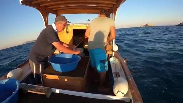 Мраморное море: калкан, морской петух и скаты на донные снасти