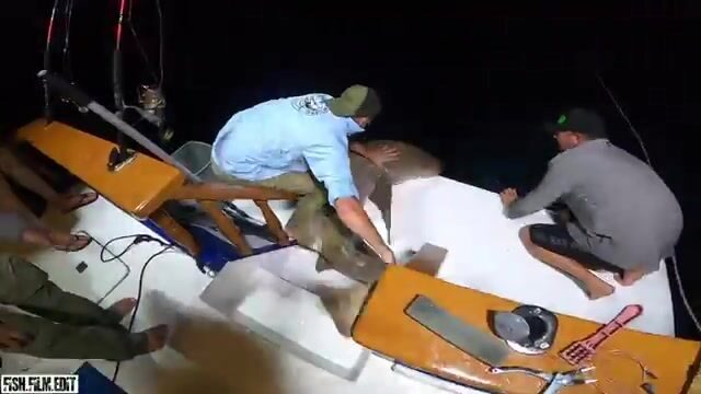 На джиг поймали рыбу на 160 метрах у Мальдив