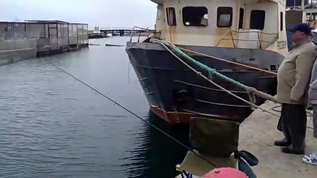 Утриш 6 мая: приехал посмотреть, как рыбачат, и поговорить с рыбаками