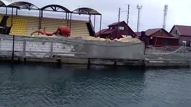 Утриш 6 мая: приехал посмотреть, как рыбачат, и поговорить с рыбаками