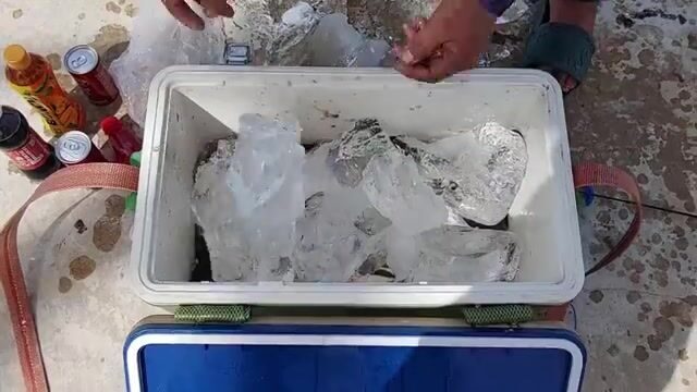 Однодневная вылазка на Фукуок к опорам ЛЭП закончилась общим уловом в 10-20 кг
