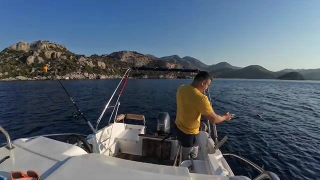 Датча: ловля корифены на силикон и живца у полуострова