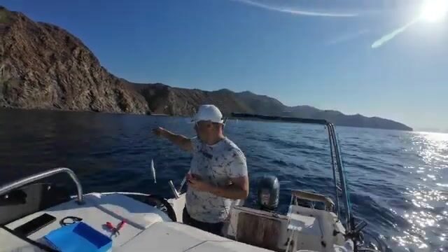 Датча: ловля корифены на силикон и живца у полуострова