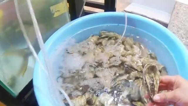 Ужин в Виньхи после рыбалки закончился ночевкой прямо на лодке