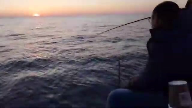 Морская рыбалка из Имеретинского порта в Адлере 4 декабря