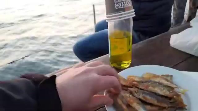 Морская рыбалка из Имеретинского порта в Адлере 4 декабря