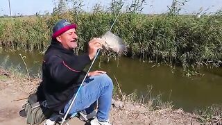 В дренажном канале у Идку тиляпию сравнили с двухлитровой бутылкой