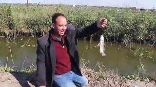В дренажном канале у Идку тиляпию сравнили с двухлитровой бутылкой