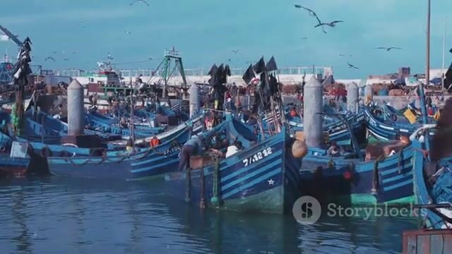 Ручная леска и ловушки из пальмовых листьев на Сент-Китсе