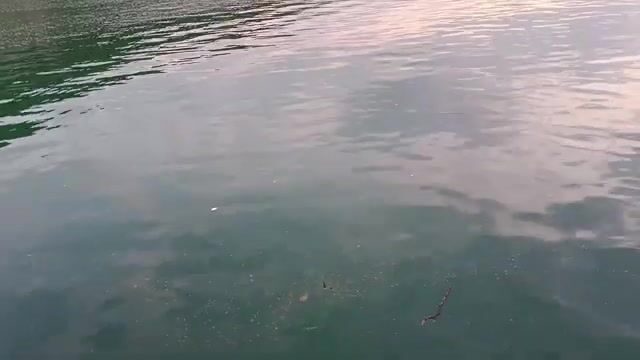 Вечерняя рыбалка на лимане в Синопе: закат, рыбаки и две рыбки мужа