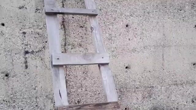 Вечерняя рыбалка на лимане в Синопе: закат, рыбаки и две рыбки мужа