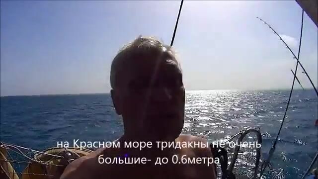 Судан 2015: сашими и тартар из тунца на борту