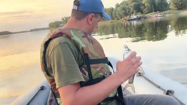 Ахтуба в августе: судак, щука и карась