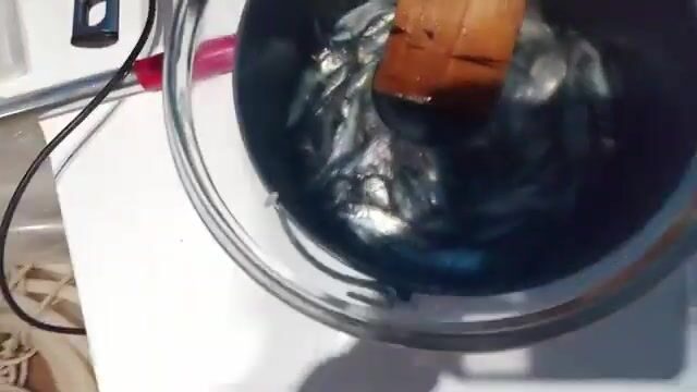 Ставрида на самодур в порту Синоп и жарка во фритюре