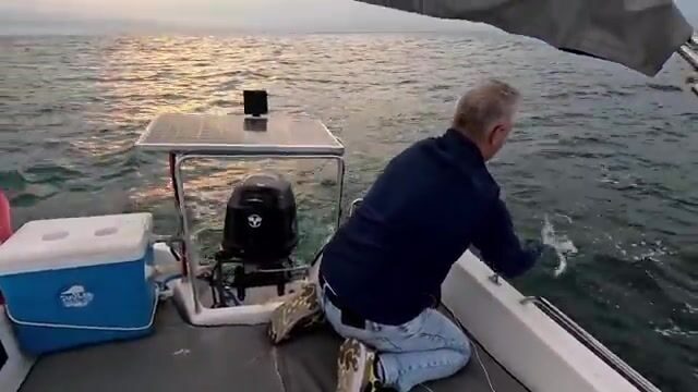 Черное море: пеламида на самодур с 20 крючками