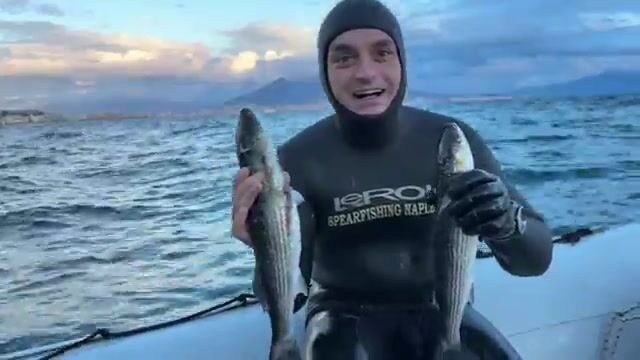 Неаполитанский залив: подводная охота с чемпионом Италии