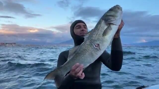 Неаполитанский залив: подводная охота с чемпионом Италии