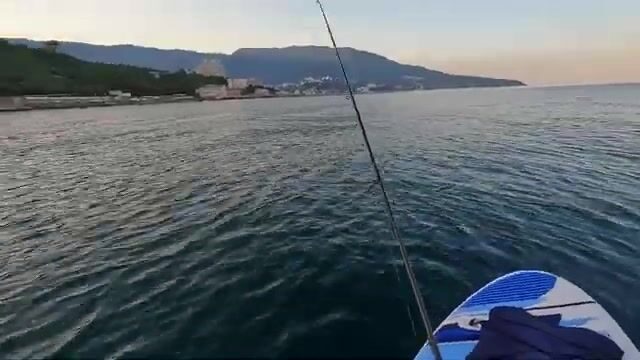 Второй выход на сапборде в Ялте: ставрида на пилькер у Ливадии