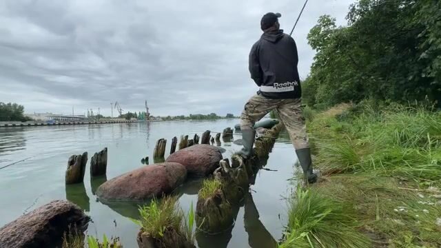 Лещи дуплетом на островах Калининградского морского канала