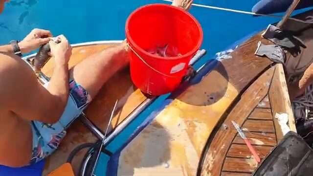 Фетхие, бухта Турунч: ловля с лодки 13 сентября