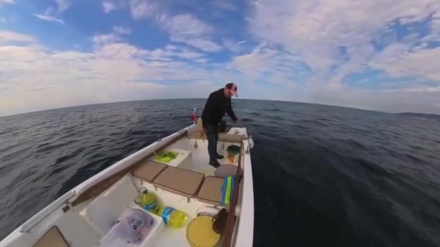 Черное море: пеламида на 15-крючковую оснастку с силиконовым осьминогом