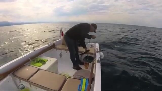 Черное море: пеламида на 15-крючковую оснастку с силиконовым осьминогом