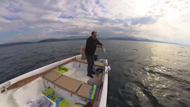 Черное море: пеламида на 15-крючковую оснастку с силиконовым осьминогом