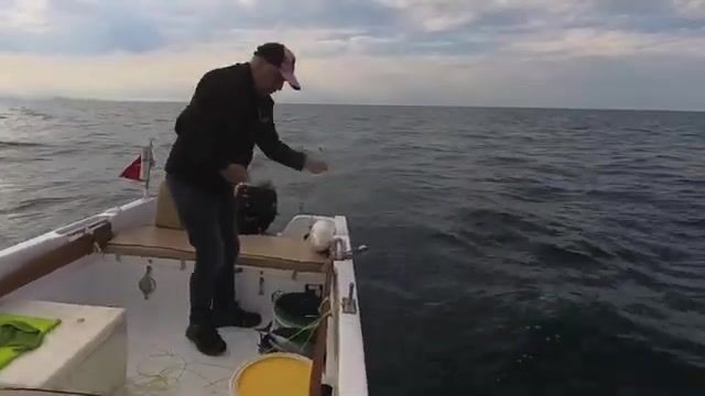 Черное море: пеламида на 15-крючковую оснастку с силиконовым осьминогом