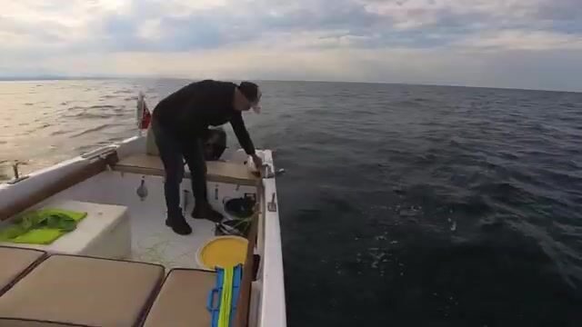 Черное море: пеламида на 15-крючковую оснастку с силиконовым осьминогом