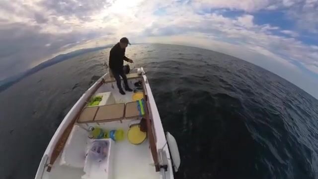 Черное море: пеламида на 15-крючковую оснастку с силиконовым осьминогом
