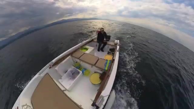 Черное море: пеламида на 15-крючковую оснастку с силиконовым осьминогом